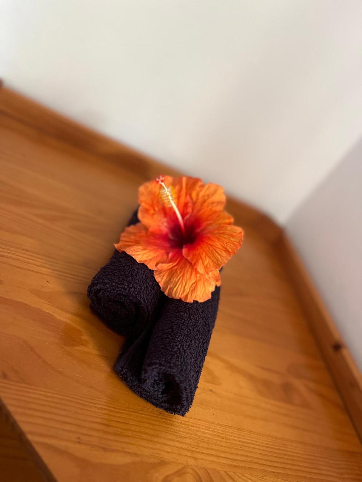 Atuona Tiki Lodge Hiva Oa מראה חיצוני תמונה
