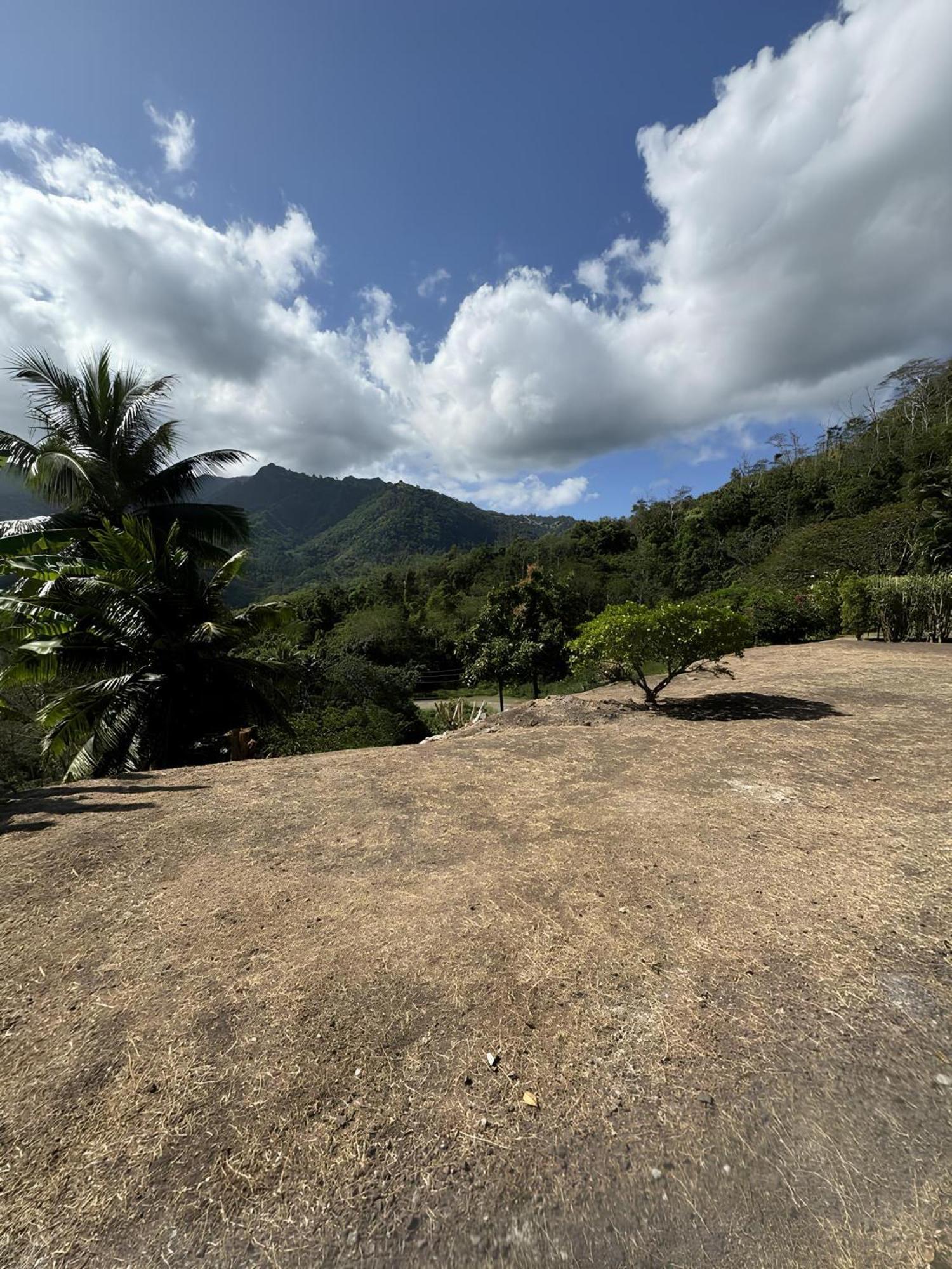 Atuona Tiki Lodge Hiva Oa מראה חיצוני תמונה